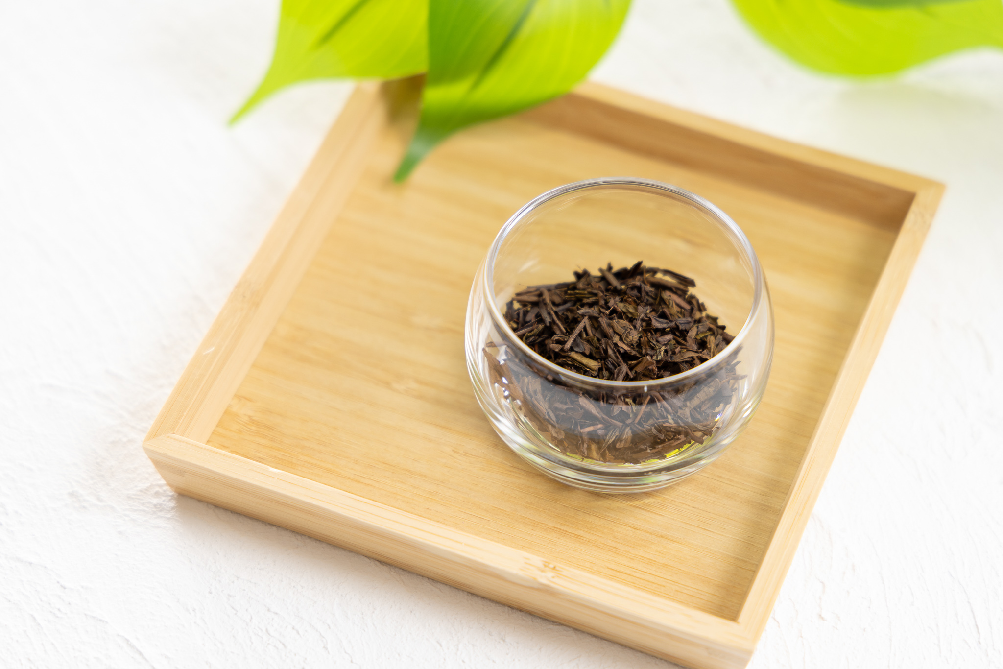 ほうじ茶
